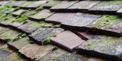 Southcourt roof repair costs